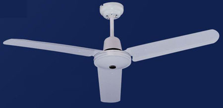 Indoor Ceiling Fan with Light