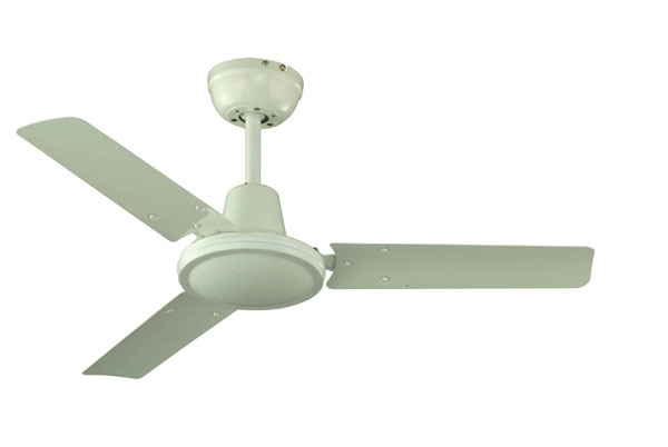 Indoor Ceiling Fan