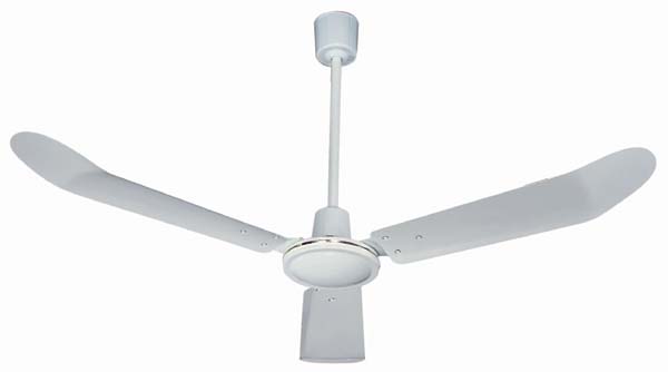 Ceiling Fan with Exhaust Function
