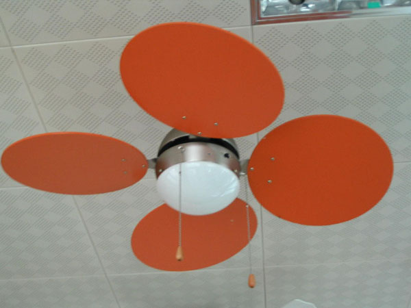 Ceiling Fan with Light