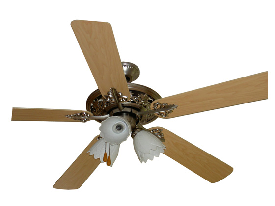 Decorative Ceiling Fan with Light Kit