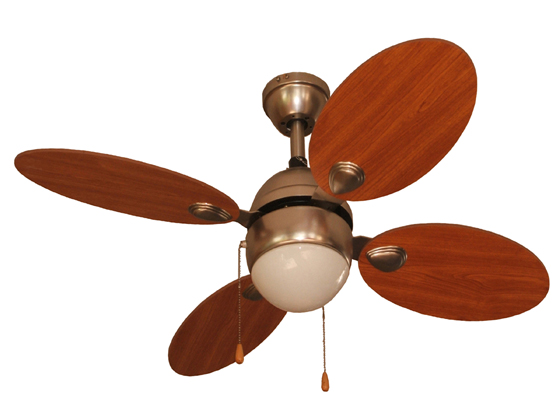 Indoor Ceiling Fan with Light