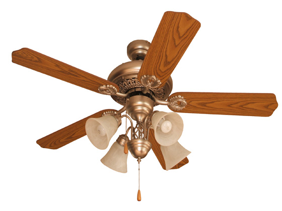 Indoor Ceiling Fan with Light