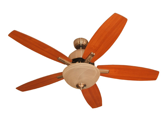Ceiling Fan with Light