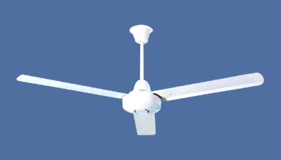 Ceiling Fan with Light