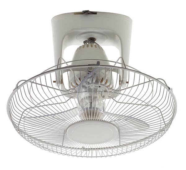 Ceiling Mount Ventilation Fan with Protective Cage