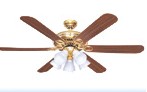 Indoor Ceiling Fan with Light