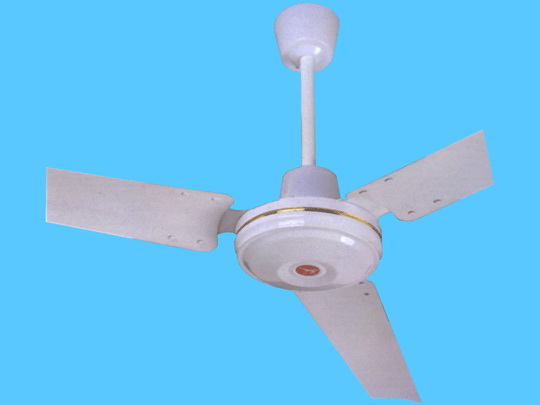 White Three-Blade Ceiling Fan with Gold Trim