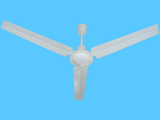 Indoor Ceiling Fan with Three Blades