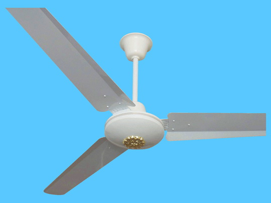 Ceiling Ventilation Fan