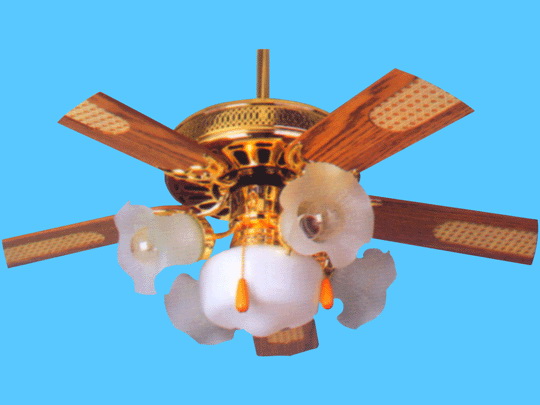 Decorative Ceiling Fan with Light