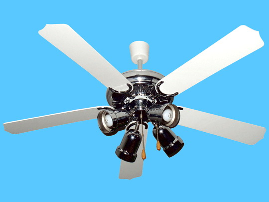 Ceiling Fan with Light Fixture