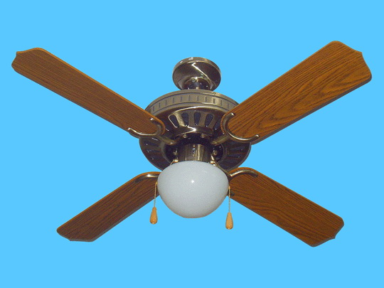 Ceiling Fan with Light