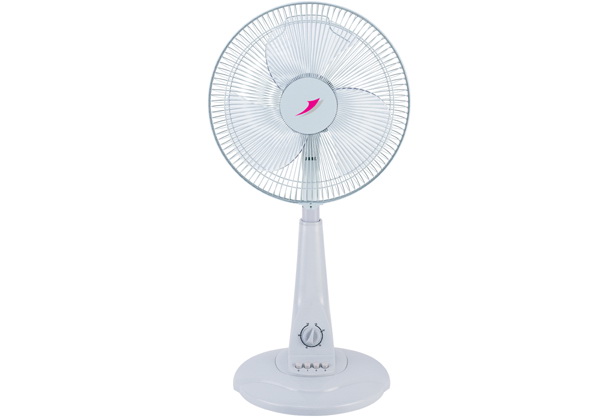 Electric Standing Fan with Adjustable Height