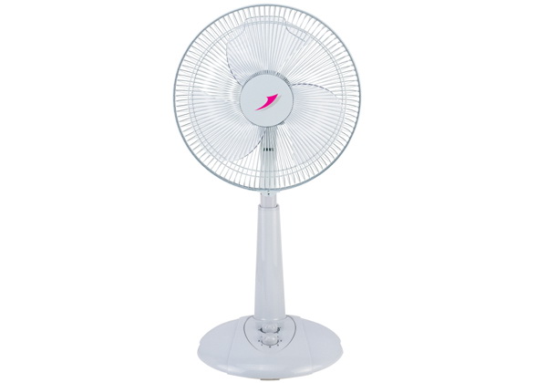 Electric Stand Fan with Adjustable Height