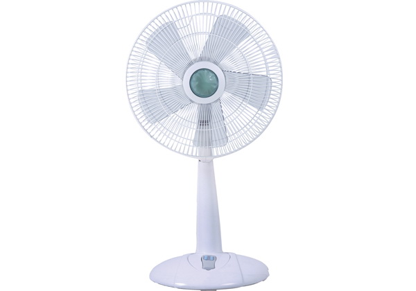 Electric Stand Fan with Three Blades
