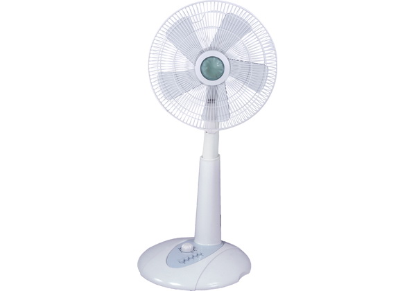 Electric Stand Fan with Adjustable Airflow