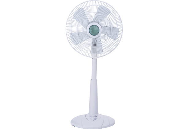 Adjustable Height Pedestal Fan
