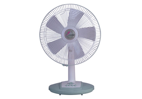 Pedestal Fan with Adjustable Height