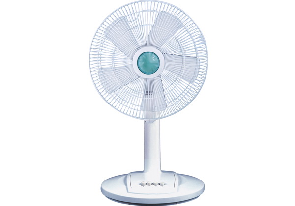 Household Electric Fan with Stand