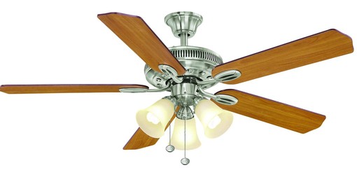 Indoor Ceiling Fan with Light