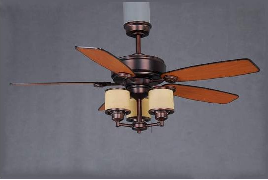 Indoor Ceiling Fan with Light