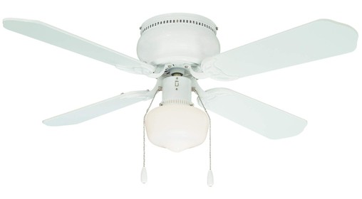 Ceiling Fan with Light