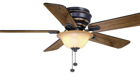 Indoor Ceiling Fan with Light