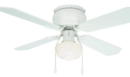 Ceiling Fan with Light Fixture