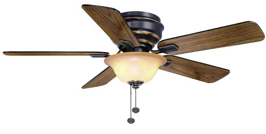 Indoor Ceiling Fan with Light
