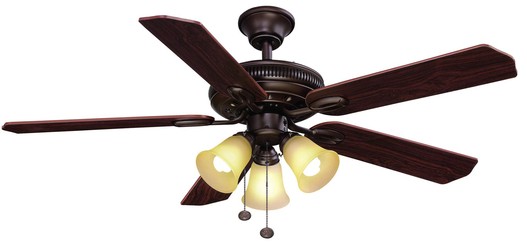 Indoor Ceiling Fan with Light