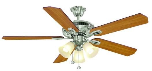 Indoor Ceiling Fan with Light