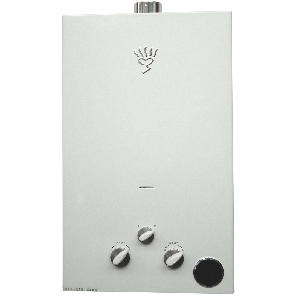 Wall Mounted Water Heater with Vent