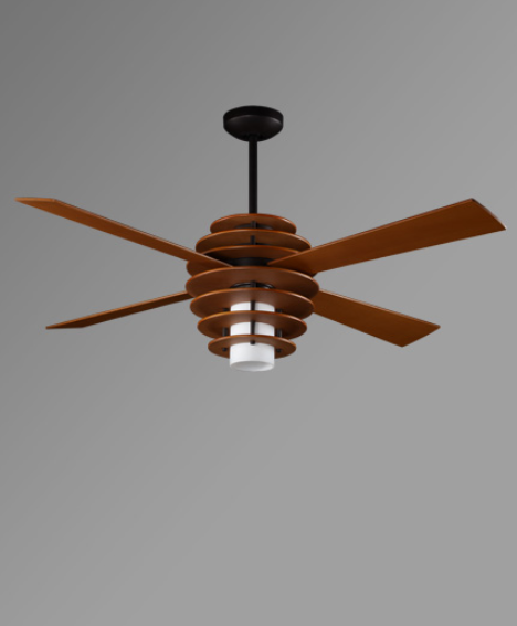 Ceiling Fan with Integrated Light