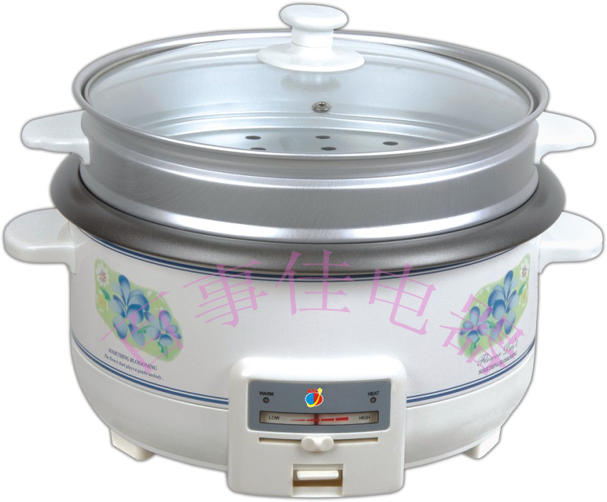 Electric Kettle for Boiling Water
