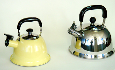 Electric Kettle for Rapid Boiling