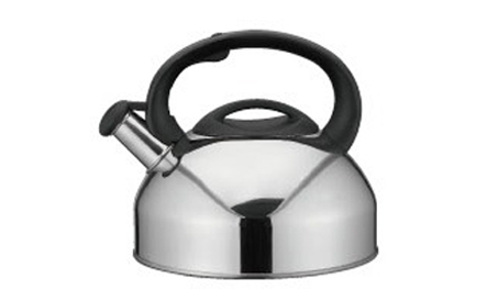 Stainless Steel Electric Kettle with Whistle