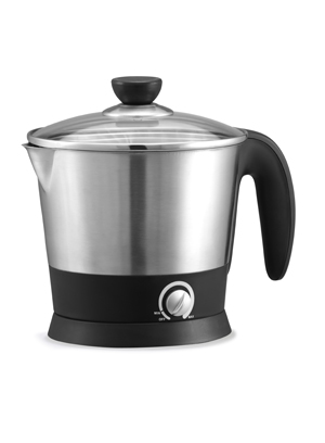 Variable Temperature Electric Kettle