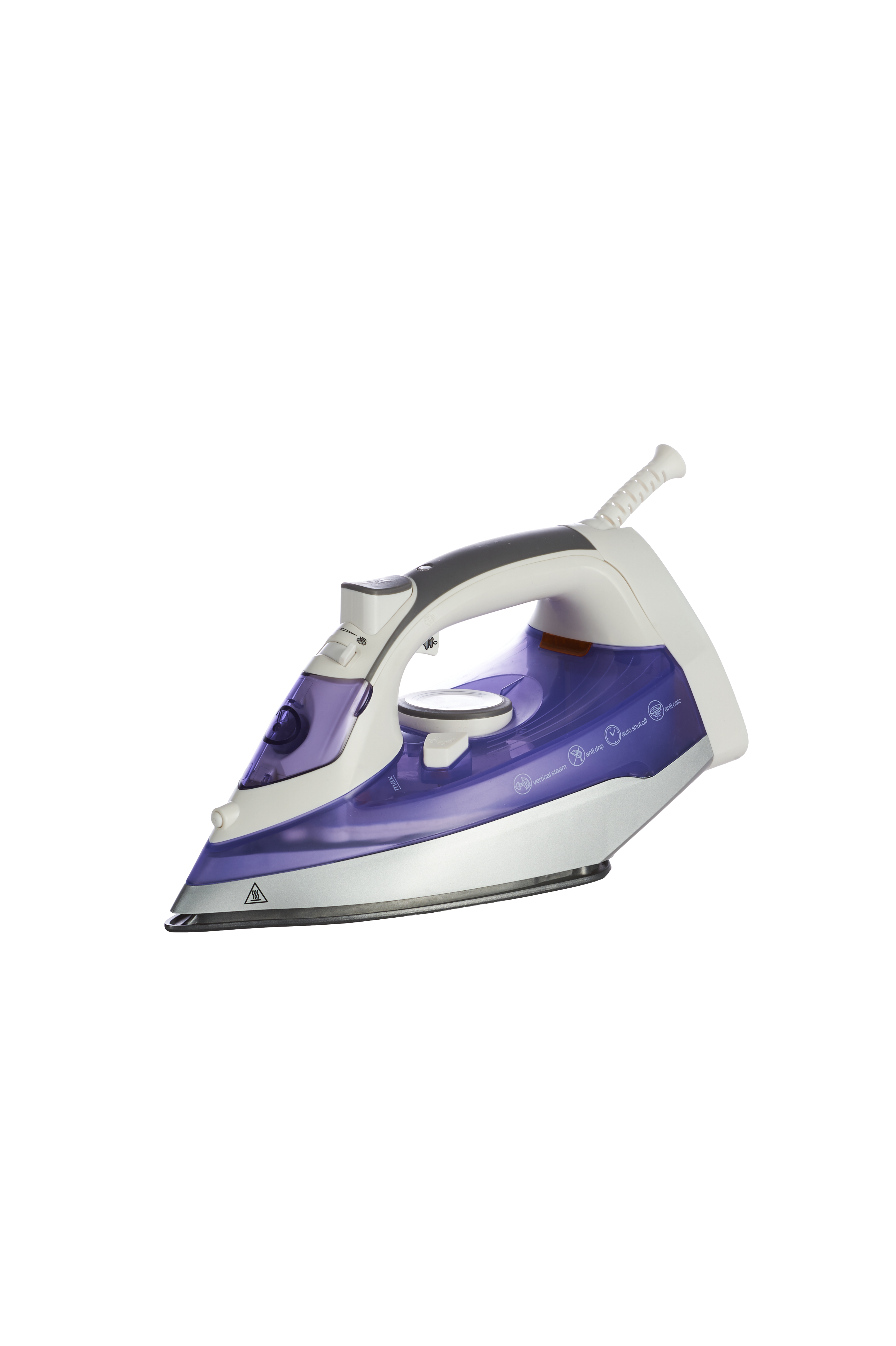 Electric Steam Iron with Variable Settings