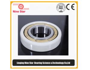 High-performance electrically insulated bearing for electrical equipment