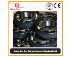 Ceramic coated outer ring insulation detail