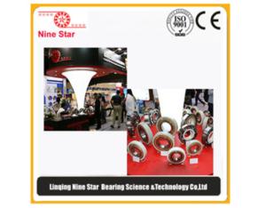 Electrically insulated bearing construction