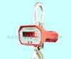 Digital Hanging Crane Scale