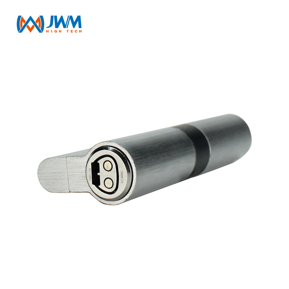 Electronic Lock Cylinder with Smart Key Access