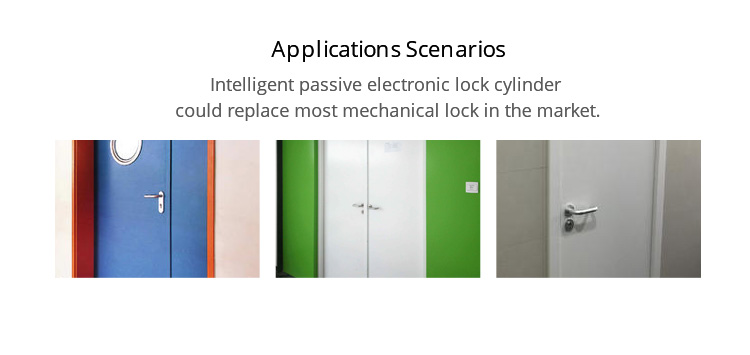 Electronic lock cylinder installed on a door