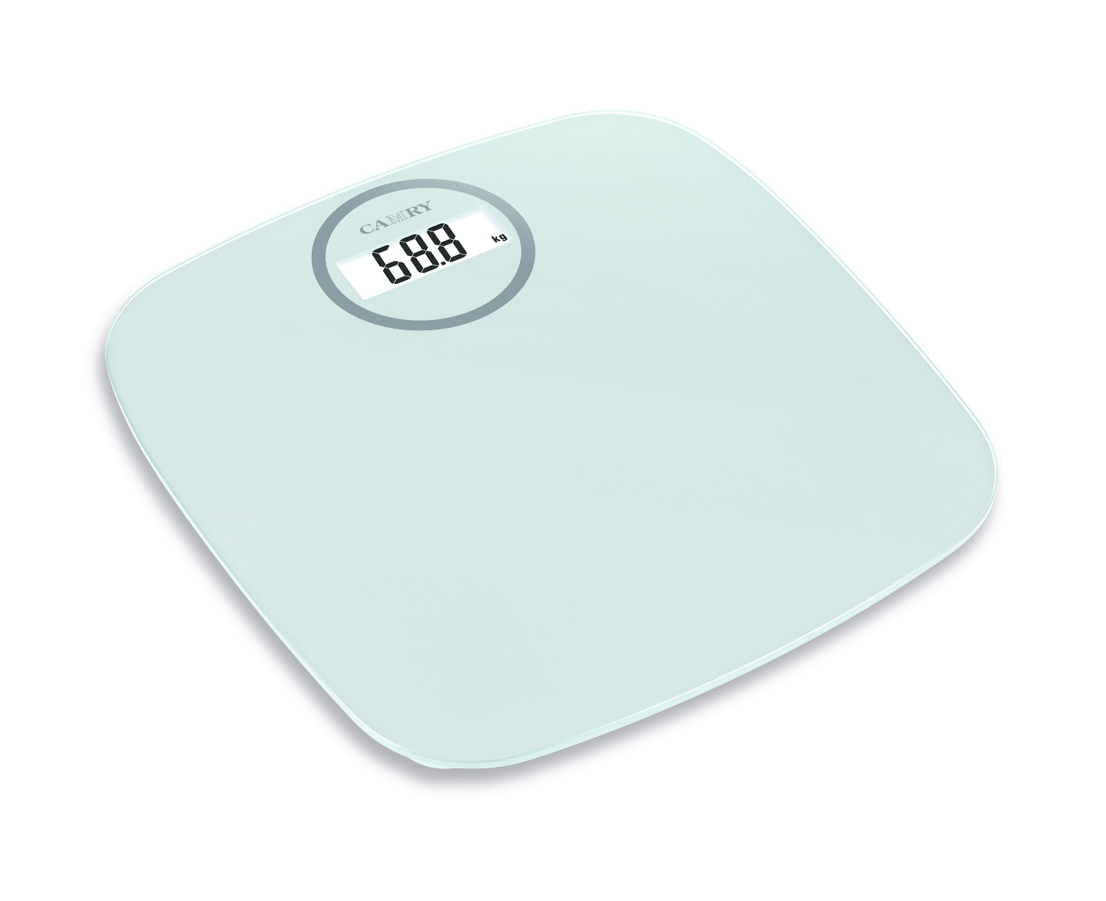 Digital Bathroom Scale