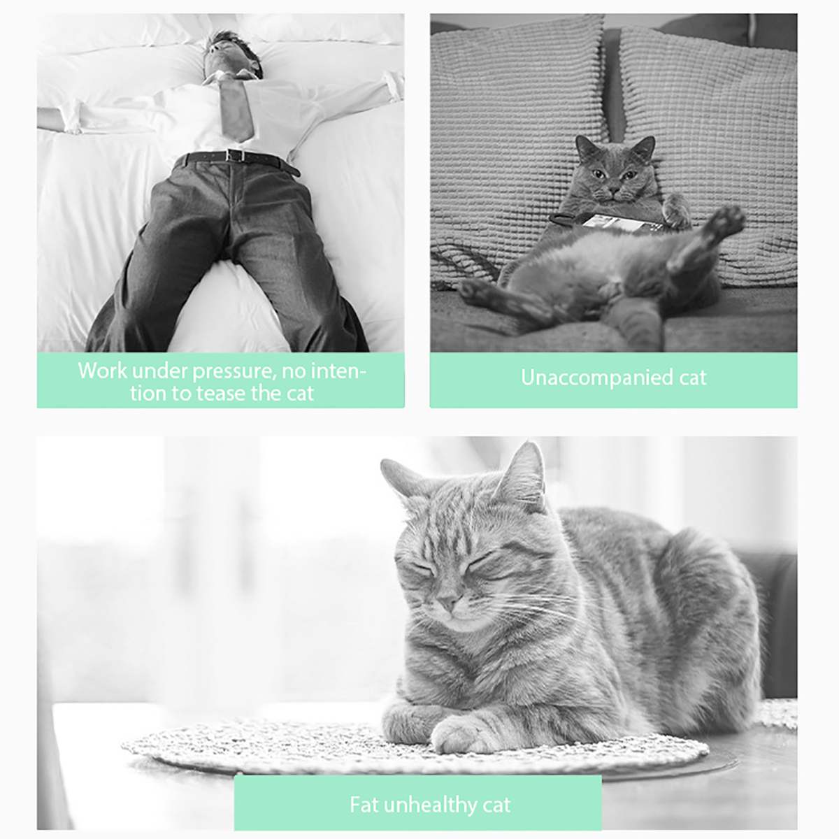 Electronic Pet Cat Toy feather Smart Automatic Sensing laser Obstacles USB Electric Funny - Image 2