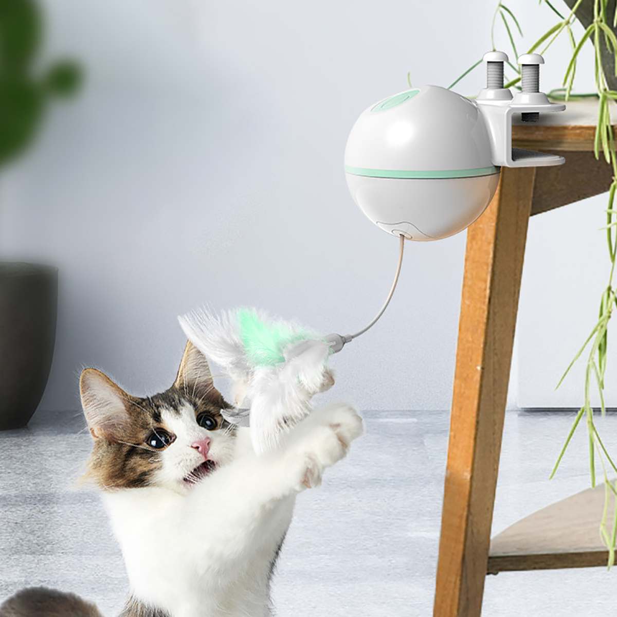 Interactive Motion Cat Toy with Laser and Feather