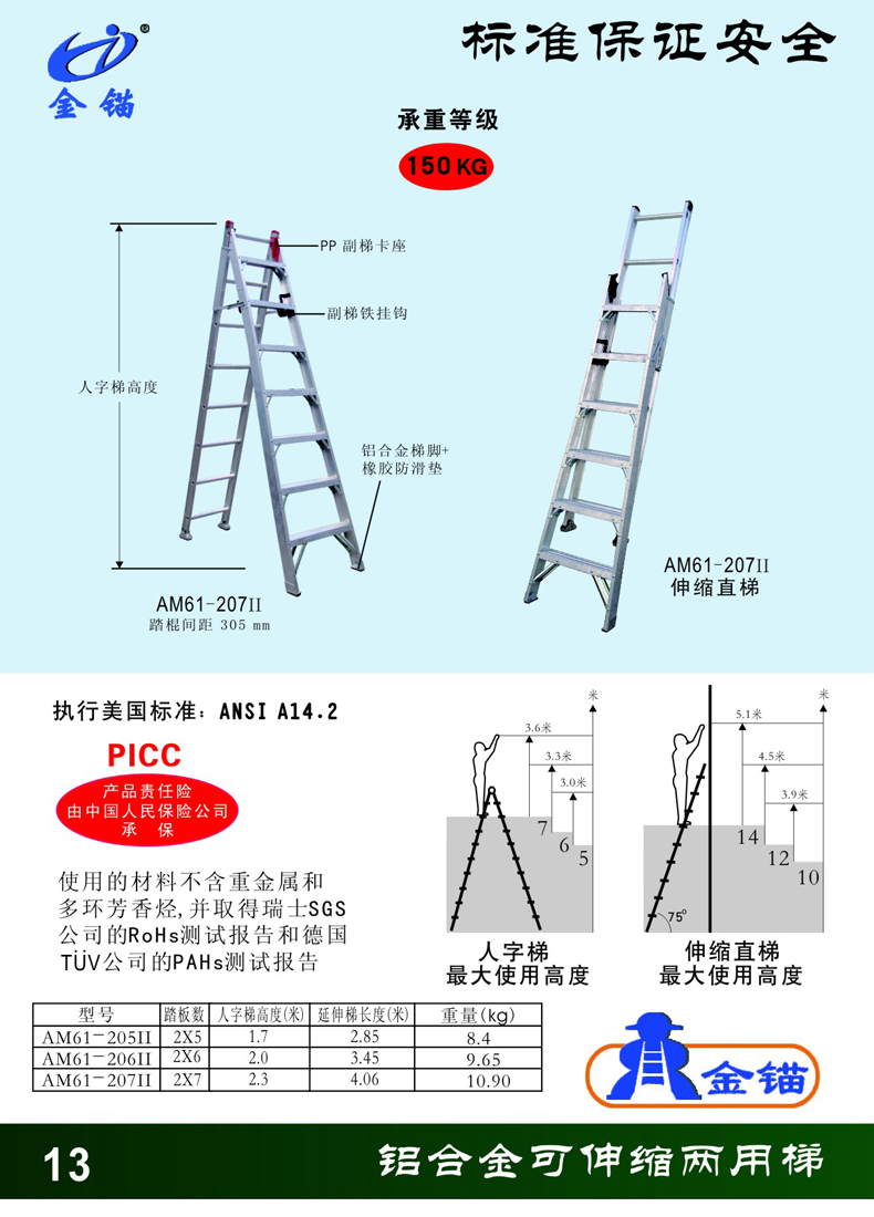 Extendable Dual-Purpose Ladder