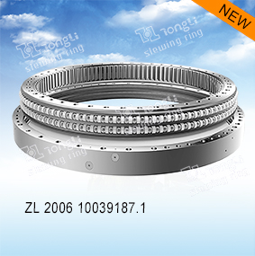 Elliptical Raceway Slewing Ring Bearing